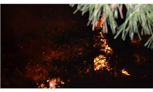 14 bin orman yangınından yarısının nedeni belirsiz