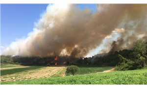 Manavgat’ta çıkan orman yangını kontrol altına alındı