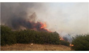 Manisa Kula'da orman yangını