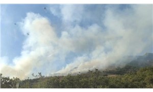 Bingöl'de 2 farklı noktada orman yangını