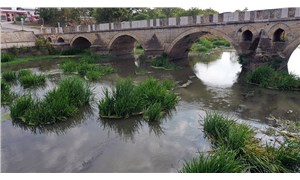 Kuraklık: Tunca Nehri yatağında ot öbekleri oluştu
