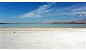 Kuş cenneti Arin Gölü'nde kuraklık alarmı