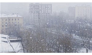 Moskova'ya yılın ilk karı yağdı