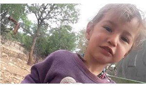 Mersin'de kaybolan 3 yaşındaki Müslüme'nin arandığı bölgede kan izine rastlandı