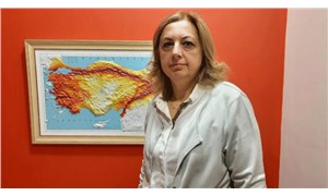 Prof. Dr. Sertçelik'ten Düzce depremi açıklaması: Yan fayları tetikleyecek enerjiye sahip değil