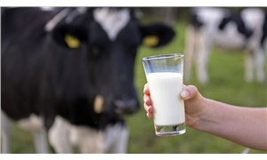 Çiğ süt referans fiyatı belli oldu
