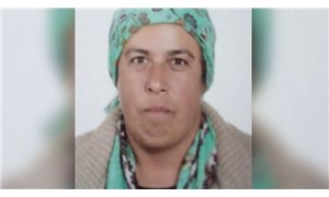 Denizli'de kaybolan Serya Akcan isimli kadın, barakada bulundu