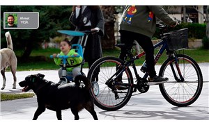 Bisikletçiler ve sokak köpekleri
