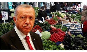 Ekonomist Hanke'den Erdoğan'a 'enflasyon' çıkışı: Sahtekarlığından başka bir şey değil