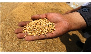 TMO'dan ekmeklik buğdaya yüzde 23, arpaya yüzde 24 zam