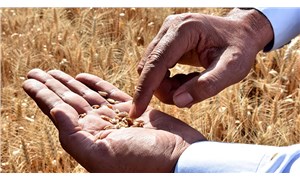 CHP’li Toprak: Buğday ve arpaya yapılan zam geri çekildi