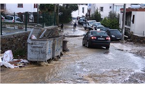 Bodrum'da sağanak: Onlarca ev sular altında kaldı, sokak hayvanları boğuldu
