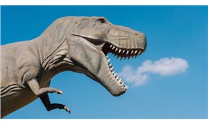 Ankapark'ta yeni detaylar: Yalnızca dinozora 7,9 milyon dolar!