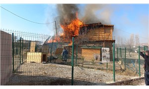 Patiko Derneği'nin barınağında yangın: 4 köpek yaşamını yitirdi