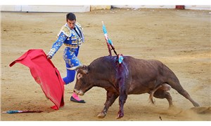İspanya'da hayvanlara kötü muameleye 2 yıla kadar hapis getiriliyor: Boğa güreşleri hariç