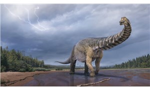 Araştırma: Dinozorları yok eden meteorun Dünya’ya yılın hangi diliminde çarptığı belirlendi
