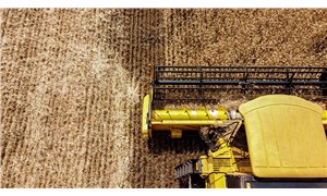 Buğday fiyatları uçtu: Türkiye 6 bin liradan buğday ithal edecek