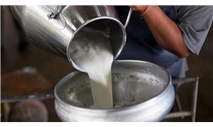 Süt krizi: Yem pahalı, hayvanlar kesime gidecek