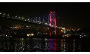 Rusya’dan yola çıkan ayçiçeği yağı yüklü gemi İstanbul Boğazı'ndan geçti