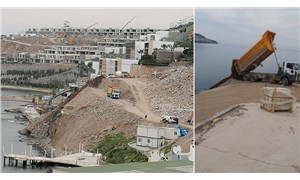 Bodrum'da inşaat firması, denize tonlarca hafriyat döktü: Akdeniz foklarının yaşam alanı