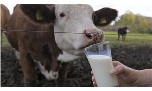 Ulusal Süt Konseyi, çiğ süt tavsiye fiyatını belirledi