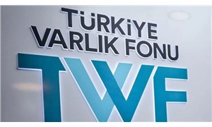 Türkiye Varlık Fonu Genel Müdürü Ermut'tan Türk Telekom açıklaması