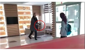 Kayseri'de kediye tekme atan okul müdürü hakkında soruşturma