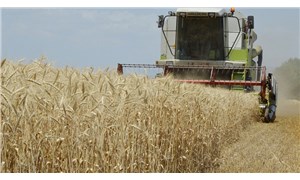 TMO'dan buğdaya yüzde 22 zam: Ekmek zammı olarak dönecek