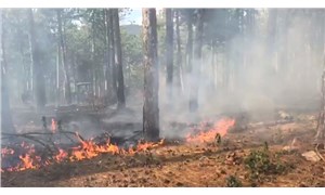 Balıkesir’de orman yangını: 3 saatte söndürüldü