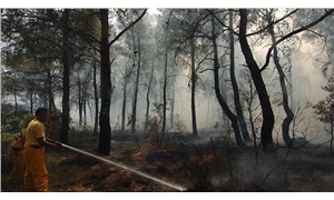 Menderes'teki orman yangını davası sanığına 5 yıl hapis