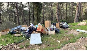 Cennet Koyu'na atılan çöplerin arasından kargo kolisi çıktı, üzerindeki adres sahibine 30 bin lira ceza kesildi