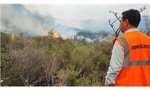 Aras'tan Bodrum'daki yangına ilişkin açıklama: Bir sabotajın sonucu gibi görünüyor