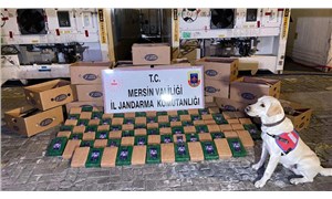 Mersin Limanı'nda 258 kilogram kokain ele geçirilmesiyle ilgili bir zanlı tutuklandı