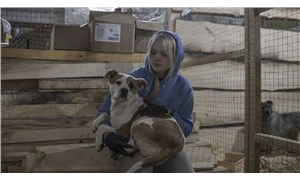 Savaş evcil hayvanları sahipsiz bıraktı: Lviv’deki “Kurtarılmış Hayvan Evi” kapılarını açtı