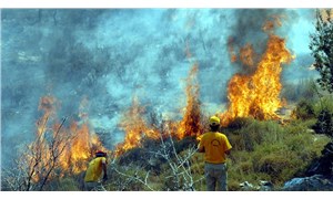 CHP'den madde hatırlatması: "Orman yangınları için hala alınan bir tedbir yok"