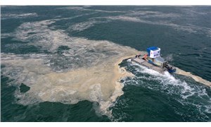 Prof. Dr. Melek İşinibilir Okyar: Marmara'da denizin ısınması müsilajı tetikleyebilir