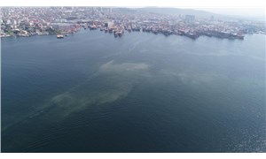 İstanbul'da müsilaj endişesi: Tuzla ve Kadıköy sahillerinde kirlilik görüldü
