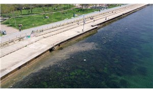 İstanbul'da denizde görülen kirlilikte müsilaj tespit edilmedi