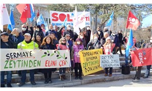 Danıştay, SOL Parti’nin zeytinliklerin talanına karşı açtığı davayı reddetti