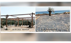Tepkiler sonuç verdi: Altınkum'da beach-club inşaatı durduruldu