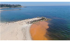Karadeniz'de renk değişimi: "Polen veya alg patlamasından kaynaklı olabilir"