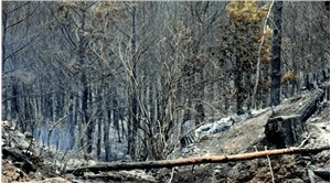 Orman yangınında 3 milyon liralık vurgun iddiasında tutuklu 3 sanık tahliye edildi