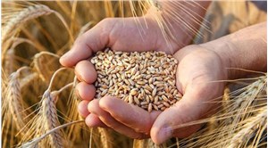Çiftçi de tüketici de buğdayda taban fiyat bekliyor