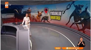 ATV'nin 'hangi sokakta köpek var?' haberi tepki topladı