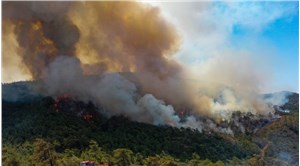 CHP'li Öztunç: Marmaris'teki orman yangınında sabotaj ihtimali yüksek