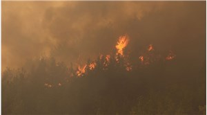 Emniyet Genel Müdürlüğü: Marmaris'teki yangınla ilgili paylaşımlara işlem başlatıldı