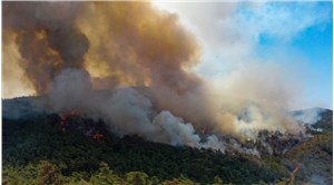 CHP'li Alban orman yangınlarındaki rant zincirini anlattı: Büyük bir 'organize işler' var