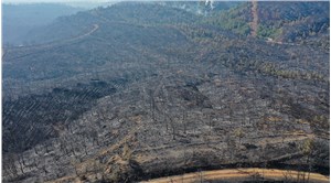 CHP Muğla Milletvekili Alban: Orman yangınlarından birileri milyarlarca liralık bir rant çetesi kurmuş
