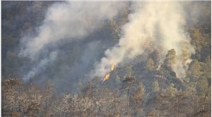 Marmaris'teki orman yangında üçüncü gün: "3 bin hektarlık alan etkilendi"