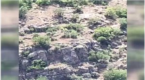 'İliç'teki altın madeninin siyanür borusu patladı, siyanür çevreye yayıldı' iddiası